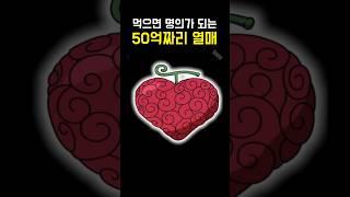 원피스 50억짜리 수술수술 열매
