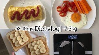 53-45kg Diet Vlog| -7.3kg , Tracking my Calories Intake