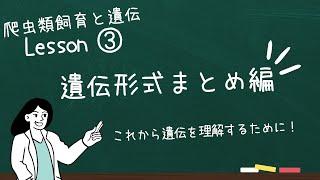 【爬虫類と遺伝】③遺伝形式まとめ編