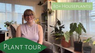 80+ Houseplant Tour: 2022 Wrap Up Plant Collection