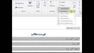 شماره صفحه در ورد