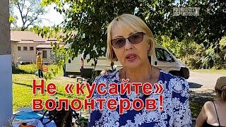 Бродячие собаки: как с этим бороться, и кто это должен делать?