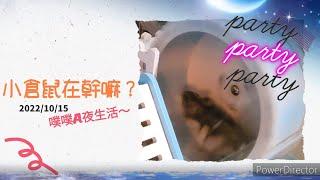 小倉鼠在幹嘛？噗噗A夜生活~party time［字幕版］@天使女兒魔法媽吃貨爸