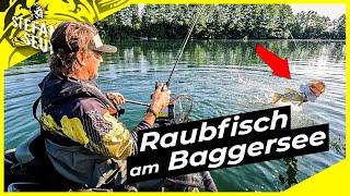 Kann ich Alle RAUBFISCHE fangen?? | Hecht, Zander, Barsch und Wels am Baggersee !? | Ich dreh durch