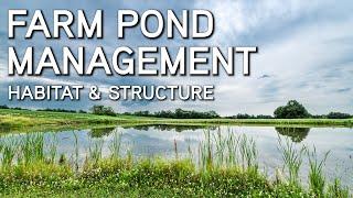 Farm Pond Management | Improve Habitat And Structure | With Dr. Brian Graeb