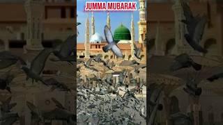 #islamic #status #shorts #trending #viral #youtubeshorts