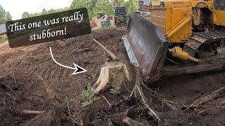 Removing  Stumps, Roots, Dirt & Finishing the Earth Wall