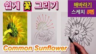 common sunflower 그림 독학을 위한 쉽게 꽃 그리기 강좌 / 해바라기 스케치 5편 / How to draw flowers /해바라기 그리기 / 꽃 잘그리기