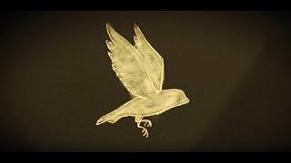 The Arcadian Wild - Little Bird (LYRIC video)