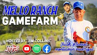 Mello Farm