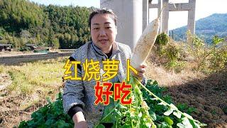 蘿蔔長勢好，媳婦做一道家常菜，紅燒蘿蔔