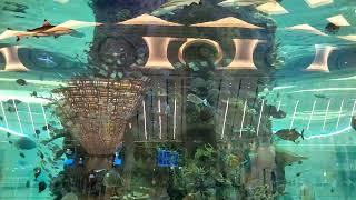 World Largest Aquarium @Jeddah Airport Saudi Arabia