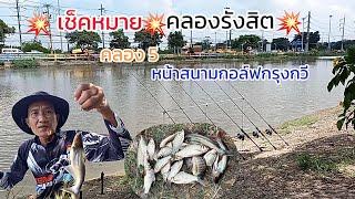 EP.54 ตกปลาคลองรังสิต ตกปลาคลองธรรมชาติ ตกปลาหน้าดิน