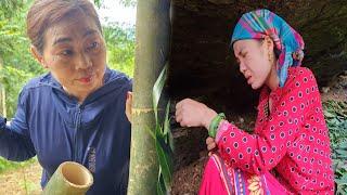 18 year old girl lives alone in a cave - gets stung by a bee and good people help her