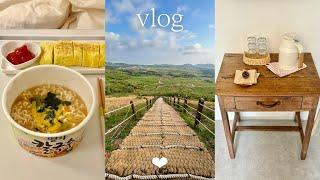 vlog | 1st day's routine for a diligent life | living alone in Jeju island