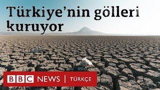 Türkiye'nin gölleri kuruyor: "En son kuşlar gitti"