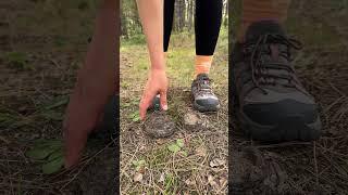 Shock!! GIRL uses cow POOP!#camping #survival #bushcraft #outdoors #lifehack