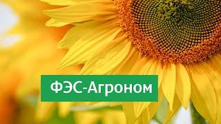 Ошибки ввиду нарушения агротехнологий возделывания