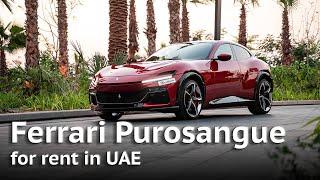 Ferrari Purosangue for rent in Dubai