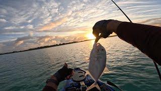 Being at the right place at the right time!! Fishing at sight for Trevallies... Mauritius 2025