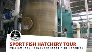 William Jack Hernandez Sport Fish Hatchery Tour