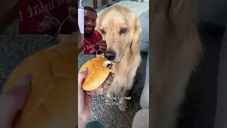 Just take a small bite!! #subscribe #funny