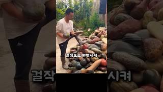 평범한 돌의 화려한 변신! 수천 달러를 버는 놀라운 기술!