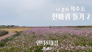 [JEJU VLOG] 제주도 한바퀴돌기 2 | 안덕&대정편 | 남자 | 혼자 | 뚜벅이 | 여행 | 브이로그 | 가파도마라도 | 송악산방산