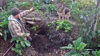 A Day In The Life Of A Permaculture Backyard Food Forester!