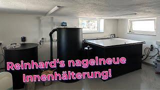 Reinhard‘s nagelneue 2 Kubik Innenhälterung mit dem neuen Bürstenfilter IH von Lieblingskoi!