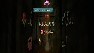 SHAROSHARI 2023 #NEW URDU SHAROSHARI #new tiktok video 2023 #new sharoshari 2023 #tiktok #sheroshari