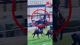 楊明綸試閘墮馬鏡頭驚險！10.15沙田馬場第七組800米試閘 楊明綸騎「洛河 」一放而回 過終點後 馬匹突然驚閃 楊明綸失平衡 即時由馬背上墮下 鏡頭驚險 幸好人馬最終都無事