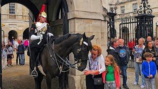 MAJOR CLOSURE UPDATE AND PETTING ZOO AS TOURISTS TOUCH AND FEED THE HORSE at Horse Guards!