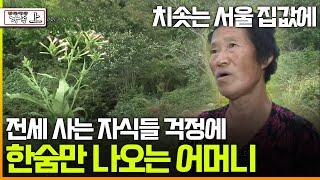 [멜로다큐 '가족' 245회 上] 치솟는 서울 집값에 전세 사는 자식들 걱정에 한숨만 나오는 어머니