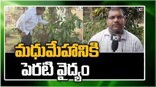 మధుమేహానికి పెరటి వైద్యం | Backyard Healing for Diabetes | Matti Manishi | 10TV News