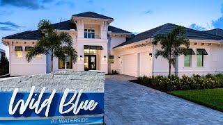 The ULTIMATE Guide to WILD BLUE in Lakewood Ranch FL