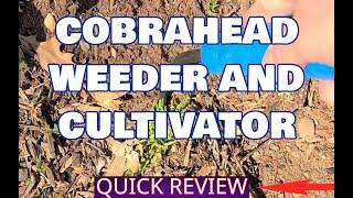 CobraHead Weeder and Cultivator, Many Uses!