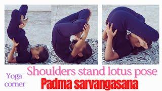 Padma sarvangasana| Pindasana|Sarvangasana|Lotus pose|