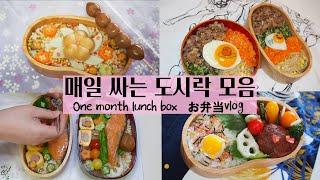 Sub)매일 2개씩 싸는 도시락 한달 모음집아이,남편이 좋아하는 의외의 간단도시락️everyday bento box lunches⭐️1ヶ月間のお弁当vlog️#23