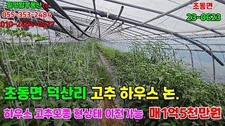 초동면23-0623 하우스 논 약900평 전기보일러 컨테이너 이동식화장실