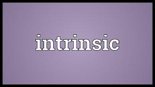 Intrinsic Meaning