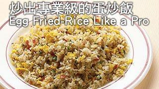 [Ytower Gourmet Food Network] Egg Fried-Rice Like a Pro