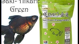 Goldfish Corner #4 - Product Review: Saki Hikari GREEN