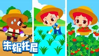 农夫 | 种果园 | 种庄稼 | 辛苦勤劳的农夫‍| Farmer | Kids Song in Chinese | 兒歌童謠 | 卡通動畫 | 朱妮托尼童話故事 | JunyTony