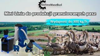 Mini Linia do produkcji granulowanych pasz | Wydajność do 300 kg/h