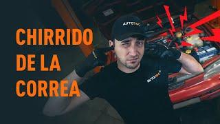 Qué hacer si la correa chirría | consejos de AUTODOC