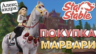 ПОКУПКА МАРВАРИ | АЛЕКСАНДРА?! | STAR STABLE ONLINE