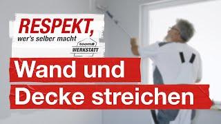 Wand und Decke richtig selber streichen | toom Werkstatt