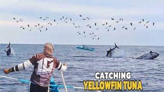 Amazing Fastest Giant Yellowfin Tuna Fishing Skill - Matinding Hilahan | Jackpot