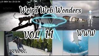 Weird Web Wonders: vol 11